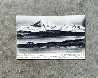 Vintage 1904 Mount Baker Post Card - Used