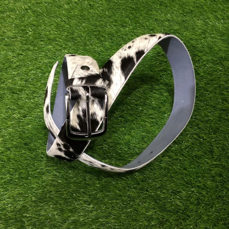 May include: A cowhide belt with a black and white spotted pattern. The belt has a silver-colored buckle and a light gray underside. The belt is displayed on a green surface.