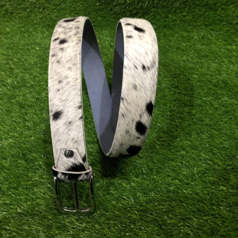 May include: A belt with a cowhide pattern in black and white. The belt has a silver buckle and a light blue underside. The belt is lying on a green surface.
