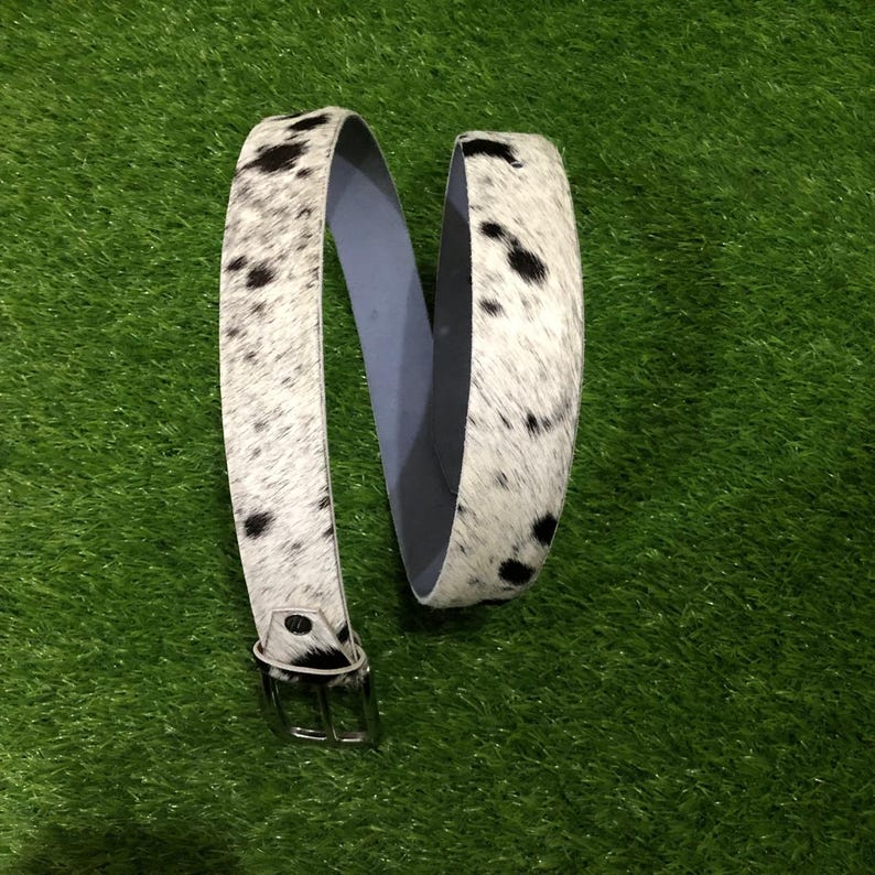 May include: A cowhide belt with a silver-tone buckle. The belt features a white background with black spots. The interior of the belt is a light gray color. The belt is displayed on a green surface.