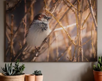 Arte mural imprimible de gorrión / Impresión fotográfica de naturaleza / Decoración minimalista de vida silvestre / Descarga digital