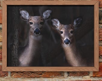 Arte de pared imprimible con mirada de ciervo / Fotografía rústica de vida silvestre / Decoración de pared natural / Descarga digital