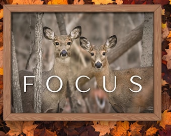 Fotografía de ciervos para pared imprimible - FOCUS / Fotografía de animales de la naturaleza / Descarga digital