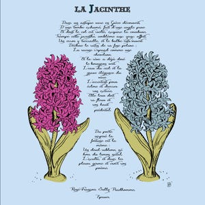 FLEURS & POEMES, jacinte, narcisse, pavot, pivoine, poesie, illustration, dessin des fleurs, nature, memo, carte des voeux, cadeau