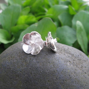 Ko'oloa'ula Sterling Silver Stud Earrings image 3