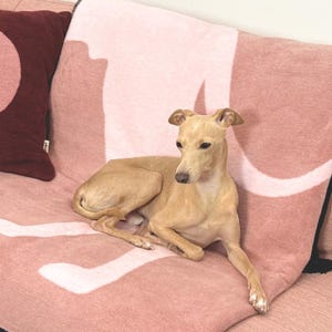 Iggy Pink Lukier, Bomullsfilt i Jacquard, Vävd i Polen, Heminredning