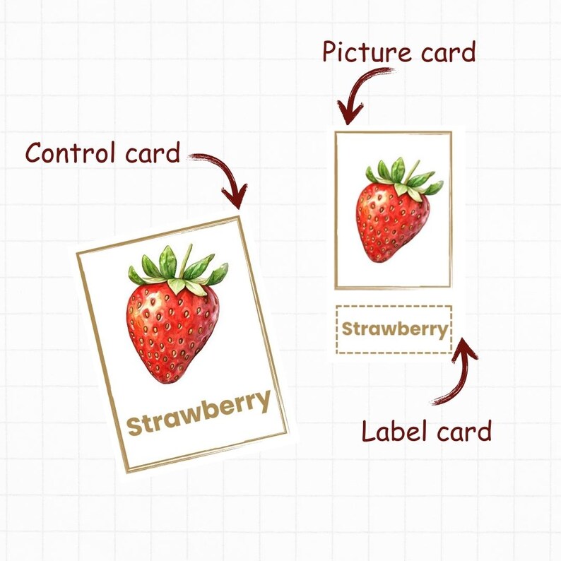 Montessori Flashcards, Fruit and Berries Cards, Preschool Worksheets ...