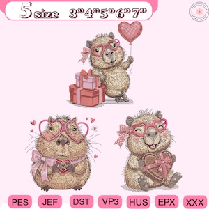 May include: Embroidered designs featuring capybaras with heart-shaped glasses and bows, holding gifts and balloons. The designs are in shades of brown, pink, and red, with the text "5 size 3" 4" 5" 6" 7"" at the top. The image has a pink background.