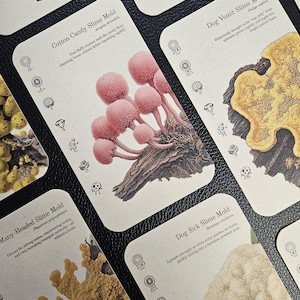 Slime Mold Trump Card Game (Tarot-sized)