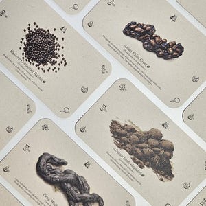 Juego de cartas Scat Trump (tamaño Tarot): 28 tarjetas para identificar excrementos de animales / Diversión y aprendizaje natural