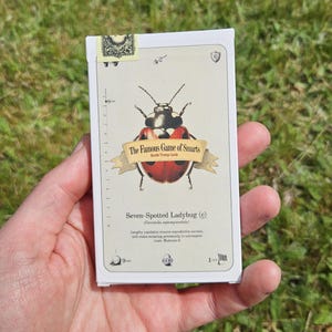 Juego de cartas Beetle Trumps: 28 cartas de la naturaleza del tamaño del Tarot / Baraja vintage Beetle en papel ecológico