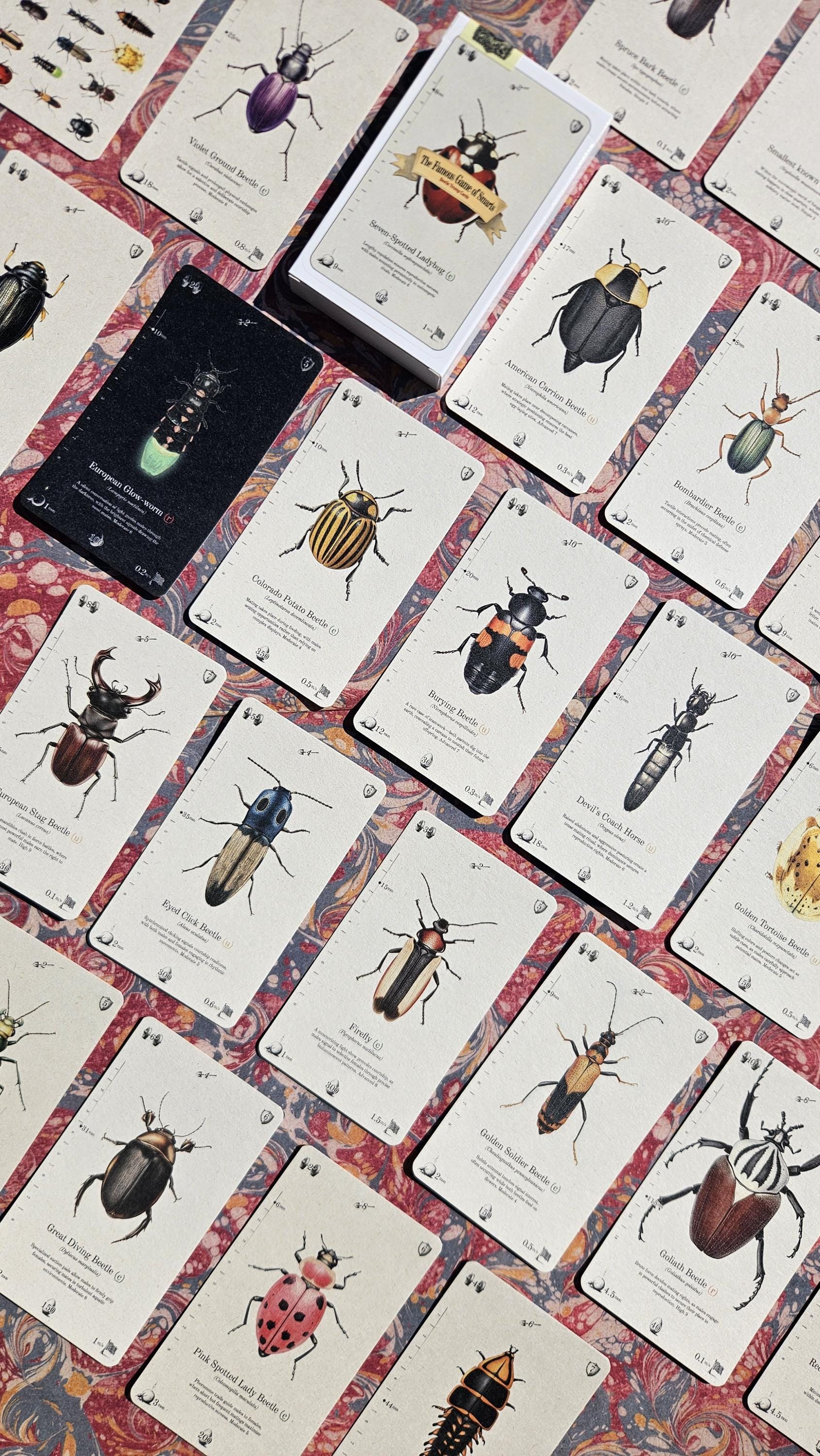 Beetle Trumps Card Game – 28 Tarot-Sized Nature Cards | Vintage Beetle Deck on Eco Paper