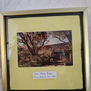 Cartolina d'epoca incorniciata del Sea Grape Lodge Pine Island Florida del 1960.