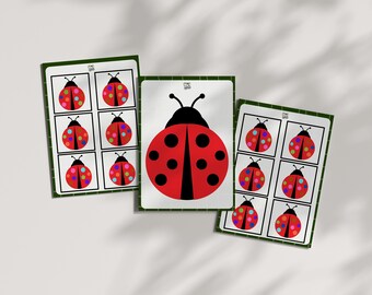 Ladybug Pom Pom Color Coding Game – Spot Pattern Cards (Ages 2-5)