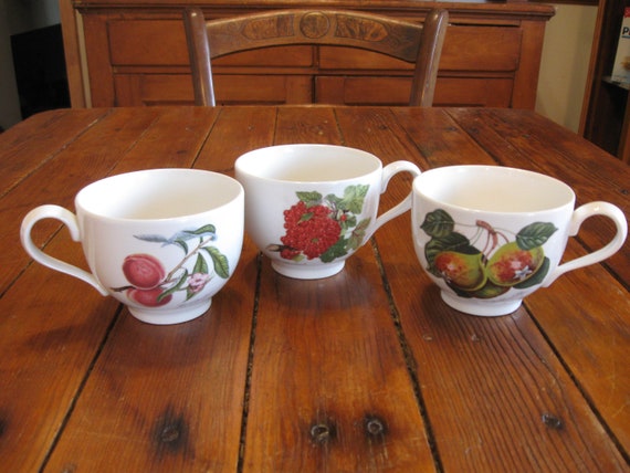 One Portmeirion Pomona Teacup & Saucer Choice Of: Royal George