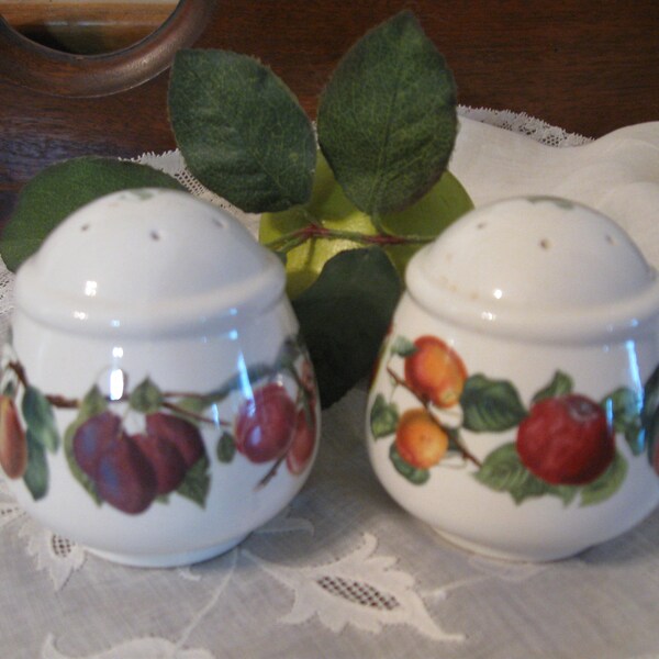 Portmeirion Pomona  Round Salt and Pepper Shakers  England   2 5/8" H  Delightful Shape & Size  Breakfast Table  Collectible  Perfect Cond.