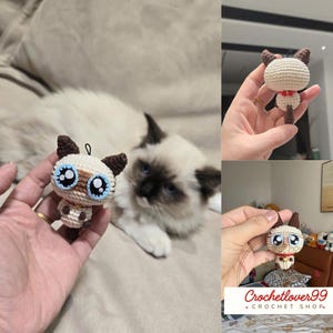 May include: A crocheted cat ornament with big blue eyes, brown ears, and a red collar. The cat is held in a hand, with a fluffy cat in the background. The ornament is a charming, whimsical design.