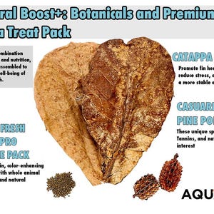 May include: A product image for Betta fish care, featuring a "Betta Treat Pack." The image displays Catappa leaves, Casuarina pine pods, and Ultra Fresh Betta Pro sample pack. The text highlights the benefits for fin health and stress reduction.