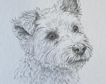 Retrato personalizado de mascota a lápiz de grafito: dibujado a mano a partir de una fotografía.