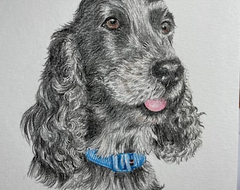 Custom Pet Portrait: Hand-Drawn Colored Pencil Art in Frame