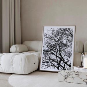Impression de photographie d&#39;arbre | Photographie de nature minimaliste en noir et blanc | Photo de paysage forestier | Décoration murale imprimable - téléchargement numérique