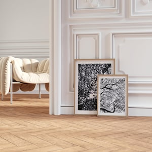 Pu&ograve; includere: Due stampe artistiche incorniciate con immagini in bianco e nero di rami di alberi. Le cornici sono di colore marrone chiaro, appoggiate a una parete bianca. La stanza ha un pavimento in legno chiaro e un divano color crema. Misure in cm.