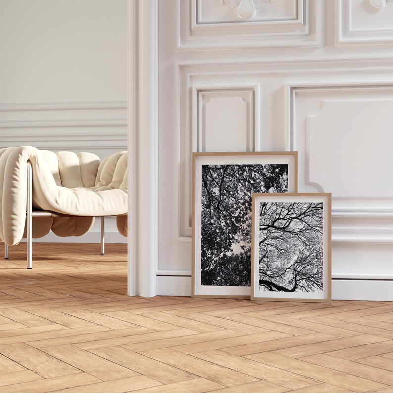 Pu&ograve; includere: Due stampe artistiche incorniciate con immagini in bianco e nero di rami di alberi. Le cornici sono di colore marrone chiaro, appoggiate a una parete bianca. La stanza ha un pavimento in legno chiaro e un divano color crema. Misure in cm.
