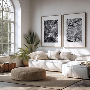 Pu&ograve; includere: Un moderno soggiorno con un divano bianco, un pouf intrecciato e una grande finestra. Due stampe in bianco e nero incorniciate della natura sono appese al muro. Una grande pianta in vaso e una cassapanca in legno completano l'arredamento.