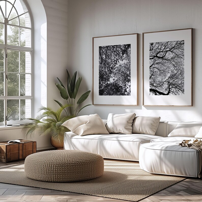 Pu&ograve; includere: Un moderno soggiorno con un divano bianco, un pouf intrecciato e una grande finestra. Due stampe in bianco e nero incorniciate della natura sono appese al muro. Una grande pianta in vaso e una cassapanca in legno completano l'arredamento.