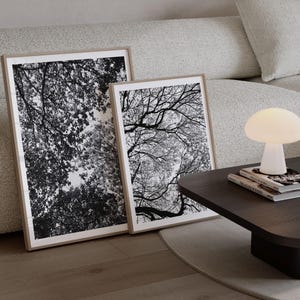 Ensemble d&#39;art mural photographie arbre forêt noir et blanc | Impression nature minimaliste | Poster paysage scandinave | Téléchargement numérique imprimable
