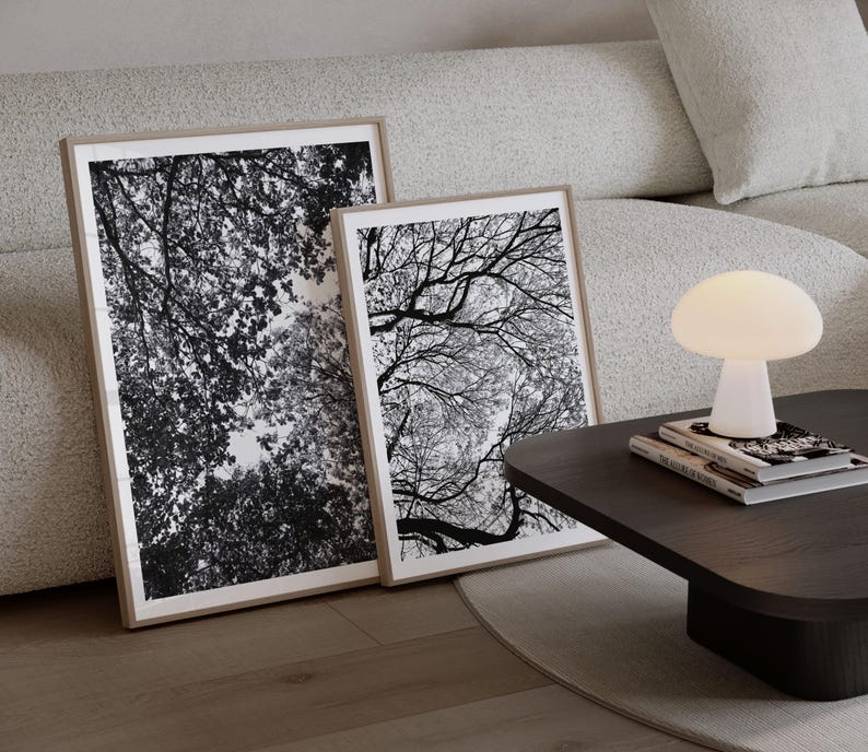 Pu&ograve; includere: Due stampe artistiche in bianco e nero incorniciate raffiguranti chiome di alberi. Una lampada bianca a forma di fungo &egrave; su un tavolino marrone scuro con libri. Cornici con bordi in legno chiaro.