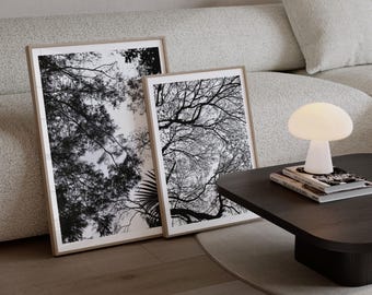Schwarz-Weiß-Waldbaum Fotografie Wall Art Set | Minimalistischer Naturdruck | Skandinavische Landschaft Poster | Druckbare digitale Datei