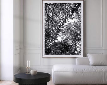 Baum Fotografie Druck | Schwarz-weiße minimalistische Naturfotografie | Stimmungsvolles Waldfoto | Druckbare Kunst - Digitaler Download