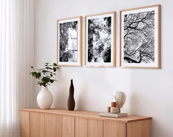 Baum Fotografie Drucke | Schwarz-weiße Naturfotografie | Waldlandschaft Foto | Galerie Wand Kunst 3er-Set druckbare digitale Download
