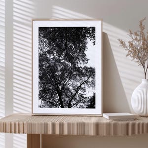 Impression d&#39;art d&#39;arbre de photographie de forêt | Photographie de nature en noir et blanc | Affiche de paysage forestier de Moody | Art mural imprimable - Impression numérique