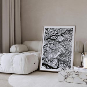 Impression de photographie d&#39;arbre Photographie de nature en noir et blanc | Poster minimaliste de paysage forestier | Art mural numérique imprimable en téléchargement numérique
