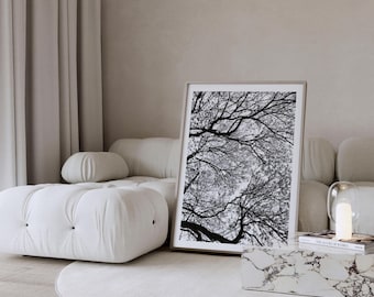 Baum Fotografie Druck Schwarzweiß Natur Fotografie | Minimalistische Waldlandschaft Poster | Druckbare digitale Wandkunst digitaler Download