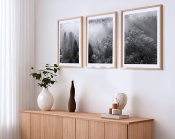 Misty Forest Print Set of 3 | Black and White Landscape Nature Photography | Printable Foggy Woodland | Wall Art Decor - Digital Download