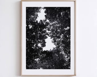 Wald Baum Fotografie Druck | Schwarz-weiße Naturfotografie | Stimmungsvolle Landschaftsfoto | Druckbare Kunst - Digitaler Download