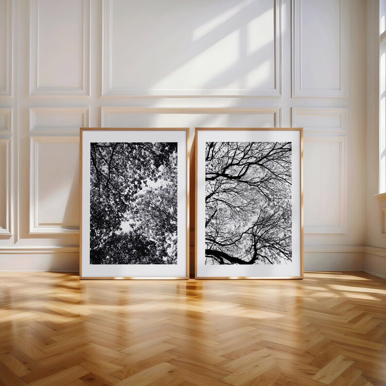 Pu&ograve; includere: Due stampe artistiche in bianco e nero incorniciate con rami e fogliame di alberi. Le stampe sono esposte su un pavimento in legno contro una parete bianca con modanature. Le cornici hanno una finitura dorata.