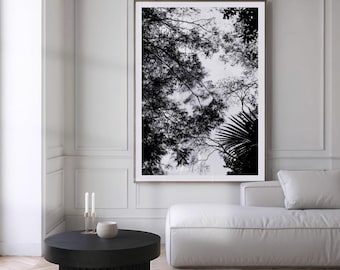 Wald Baum Fotografie Druck | Schwarz-weiße Minimal Natur Fotografie | Skandinavische Baumsilhouette | |Druckbare Kunst, Digital Download
