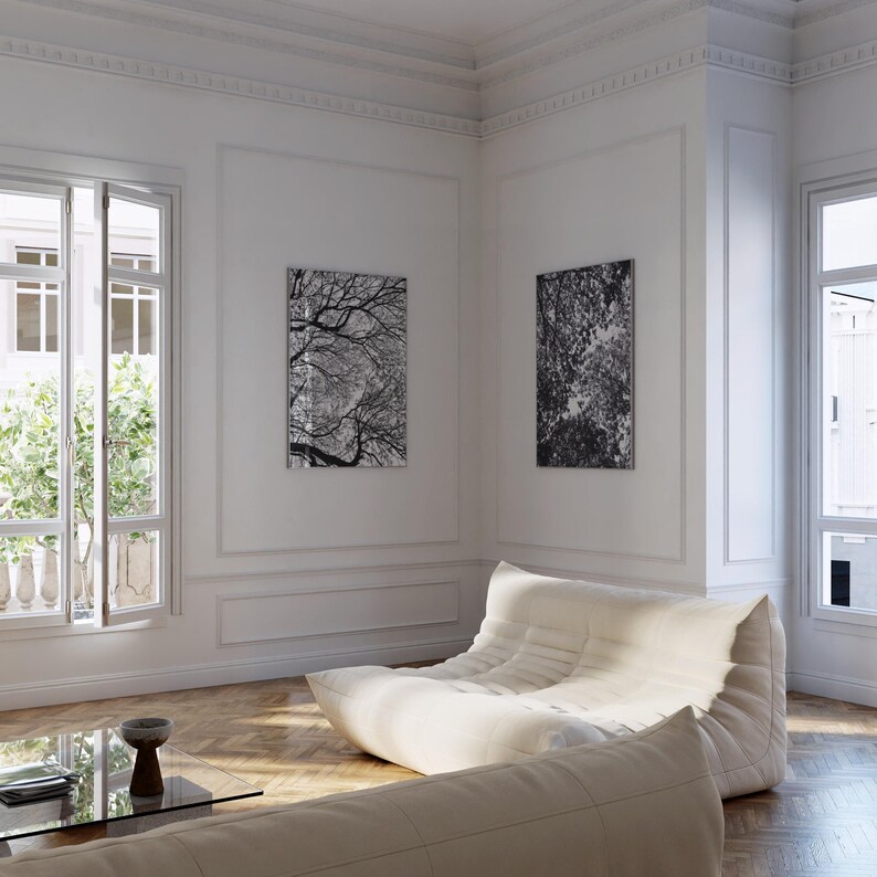 Pu&ograve; includere: Un soggiorno luminoso e arioso con pavimenti in parquet, pareti bianche e due opere d'arte in bianco e nero con rami di alberi. Un divano basso color crema e un tavolino in vetro completano il design moderno.