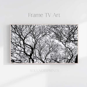 Arte para televisores Samsung Frame: dosel de árboles en blanco y negro - Paisaje natural minimalista (descarga digital)