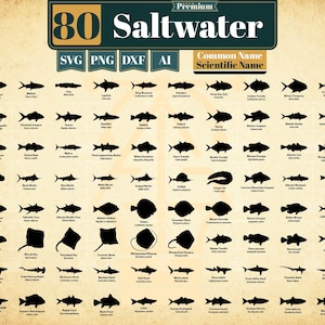 Saltwater Fish SVG Bundle | Ocean Marine Life SVG | Sea Animal Fish Silhouette vector clipart for T-Shirts, educational chart,  Laser Cut