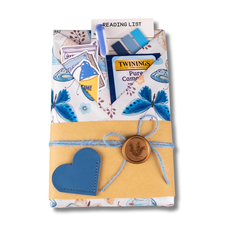Blind Date with a Book Gift Box Mystery Book Surprise for Book Lover Gift Set Cozzy Reading Essentials Book Gift Birthday for Her Bookworm BD-Blue - Book Only