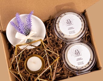 Luxury Wax Melt Warmer Set, Handmade Soy Tarts Dried Flowers, Home Office, Summer, Fall, Spring, Autumn, Relaxing Atmosphere, Strong Scent
