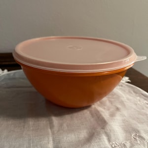 Vintage Tupperware Bowl with Clear Lid