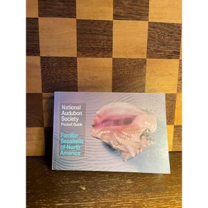 May include: A rectangular paperback book titled National Audubon Society Pocket Guide Familiar Seashells of North America. The cover features a light blue background with a large, detailed image of a pink and white conch shell on the right side.