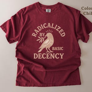 Könnte beinhalten: Ein weinrotes T-Shirt mit dem Schriftzug "RADICALIZED BY BASIC DECENCY" und einer Tauben-Grafik. Das kurzärmelige Shirt hat eine einfarbige Farbe, die als "Chili" bezeichnet wird.