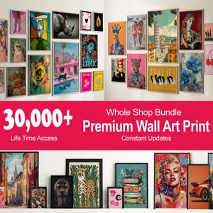 May include: A collection of framed wall art prints, featuring diverse subjects like portraits, animals, and abstract designs. The prints showcase a variety of styles and colors, with some including text. The image also includes the text "30,000+ Whole Shop Bundle Premium Wall Art Print".
